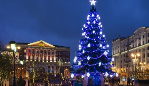 В Москве установят более 500 новогодних елей