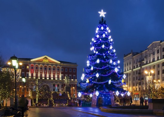 В Москве установят более 500 новогодних елей