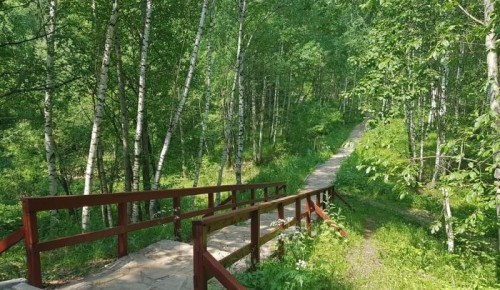 «Вдохновение» приглашает на экскурсию в лес