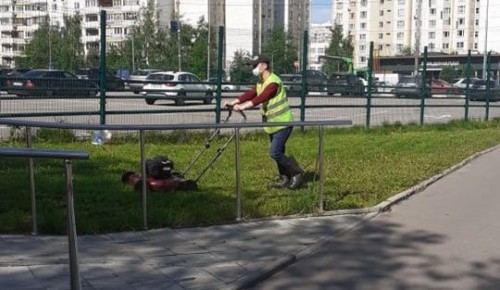 Стартовал покос газонов в районе Северное Бутово