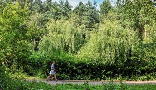 Парк «Северное Бутово» получил статус особо охраняемой природной территории