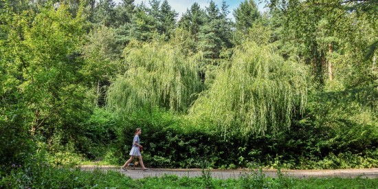 Парк «Северное Бутово» получил статус особо охраняемой природной территории