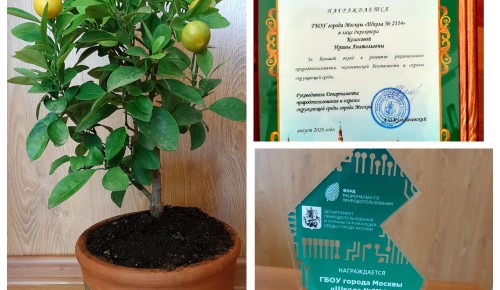 Школа №2114 получила награду от Департамента природопользования и охраны окружающей среды 