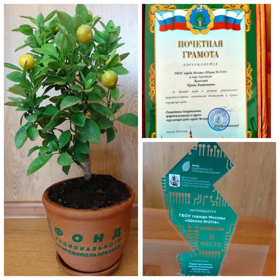 Школа №2114 получила награду от Департамента природопользования и охраны окружающей среды 