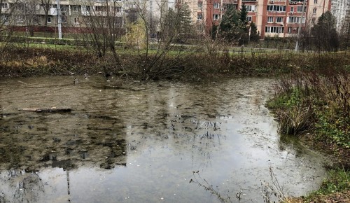 Территория пруда на Академика Глушко будет очищена весной 2021 года