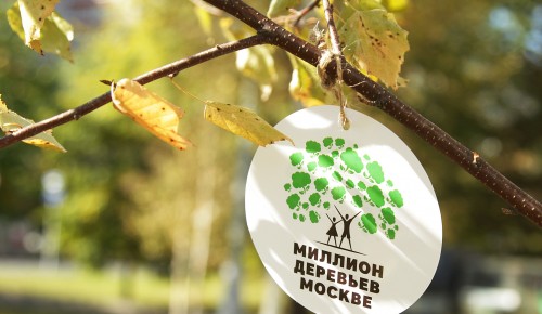 В Ясеневе подвели итоги акции «Миллион деревьев-2019»