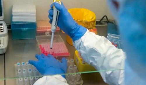 За неделю лаборатории Москвы сделают 13 тыс анализов на коронавирус