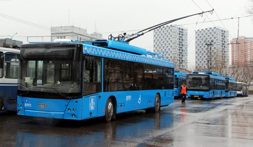На маршруте троллейбуса № 81 будут работать автобусы