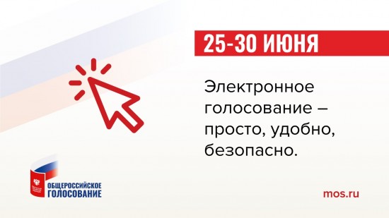 Электронное голосование по поправкам в конституцию РФ пройдет с 25 по 30 июня