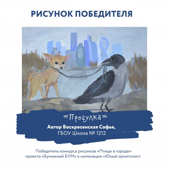 Школьница из района Ясенево победила в конкурсе рисунков "Птицы в городе"