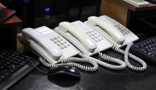 Жители Ясенева могут обратиться за помощью на телефоны «горячей линии»