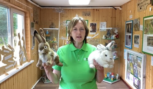 Мосприрода приглашает на экскурсию в Музей зайца