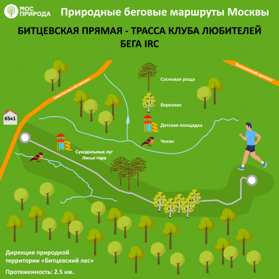 Мосприрода составила ТОП-8 красивых маршрутов для пробежек