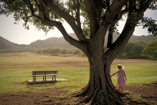 Молодые родители чаще всего выбирали Битцевский лес в рамках проекта «Наше дерево»