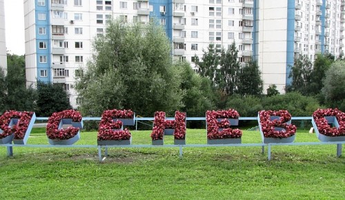 Алексей Толчеев и Ирина Гришина поздравляют жителей с Днем района Ясенево 