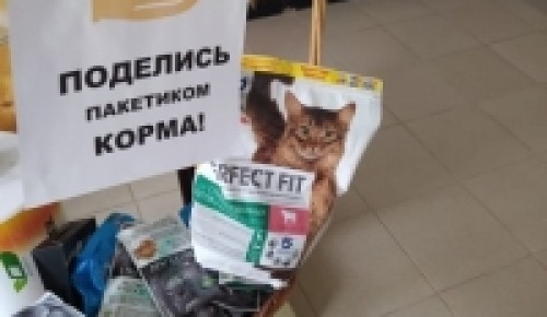 Ученики школы № 1694 собрали корма для приюта "КотТиход"