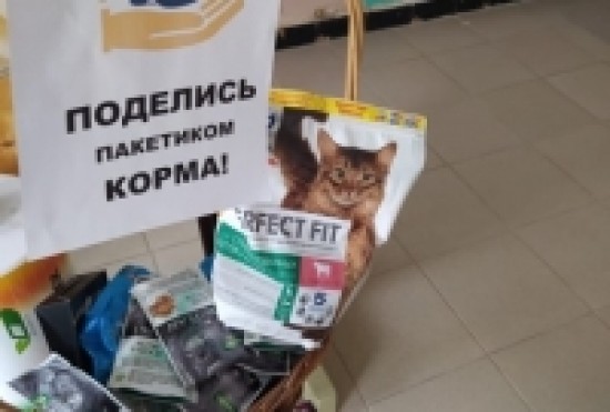 Ученики школы № 1694 собрали корма для приюта "КотТиход"