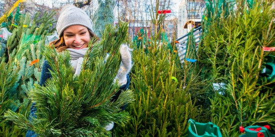 Ясенево: где купить елку к Новому году 