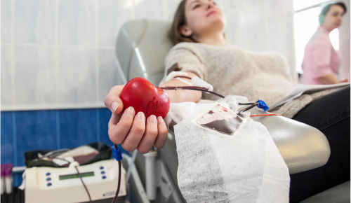 Собянин установил выплаты донорам крови с антителами на COVID-19