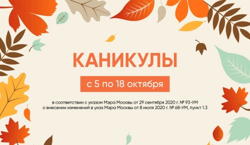 Культурный центр «Лира» уходит на «каникулы» с 5 по 18 октября