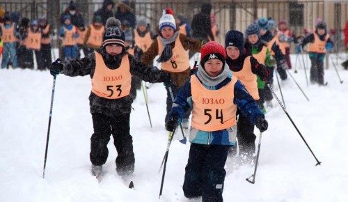Юные лыжники школы №2009 показали взрослым класс на соревнованиях в Южном Бутове