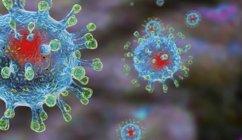 Роспотребнадзор ввел дополнительные меры борьбы с коронавирусом в Москве