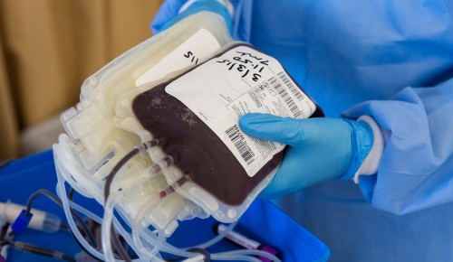 Жители района Зюзино могут сдать плазму крови, чтобы спасти жизни людей 