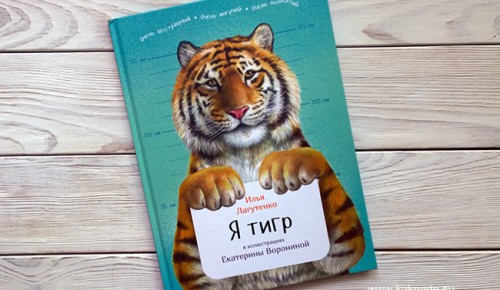В библиотеке №196 прочли онлайн книгу Ильи Лагутенко 