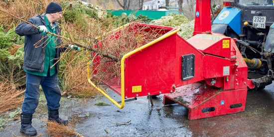Жители ЮЗАО сдали на переработку около шести тысяч новогодних елей