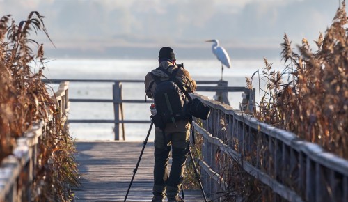 В Дарвиновском музее откроется фотовыставка о заповеднике на границе с Монголией