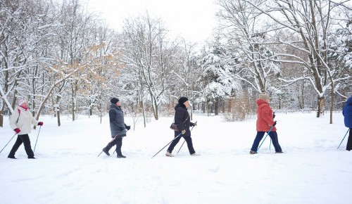 Жителей Конькова «серебряного» возраста приглашают на урок по скандинавской ходьбе