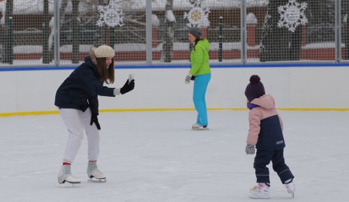 В Обручевском районе каток с искусственным льдом в Воронцовском парке будет работать до 12 марта