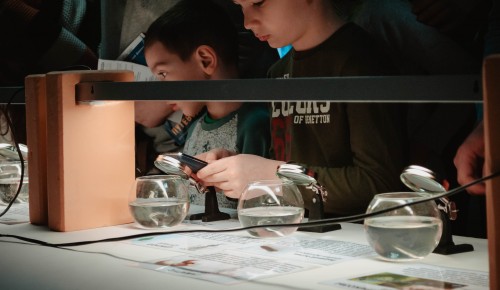 В Дарвиновском музее отметили Международный день воды