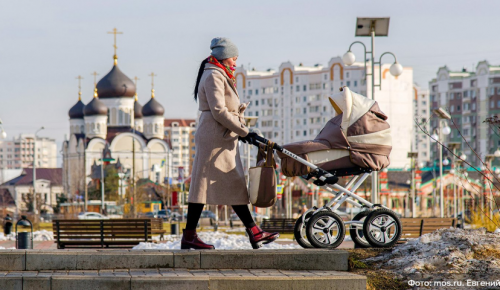 Депутат МГД Щитов: Увеличение возраста получающих пособие родителей улучшит демографическую ситуацию