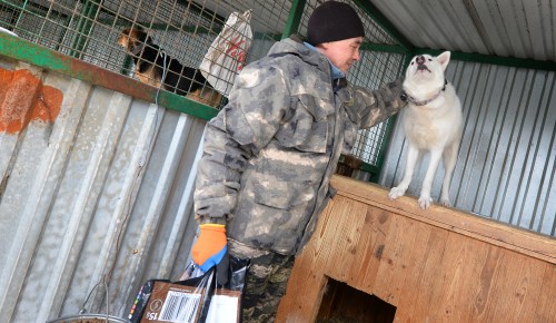 Где найти самого верного друга. В приюте на улице Брусилова более 1600 собак ждут хозяев