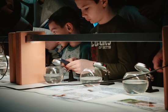 Посетителям Дарвиновского музея показали водных обитателей под микроскопом