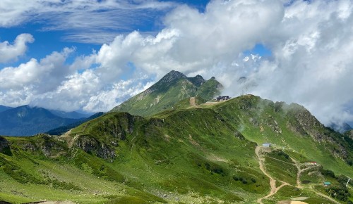 Сергунина: Все российские регионы стали партнерами сервиса Russpass