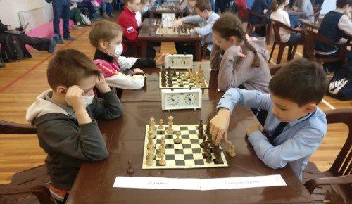 Шахматисты Северного Бутова вошли в тройку лучших в ЮЗАО по результатам окружных соревнований