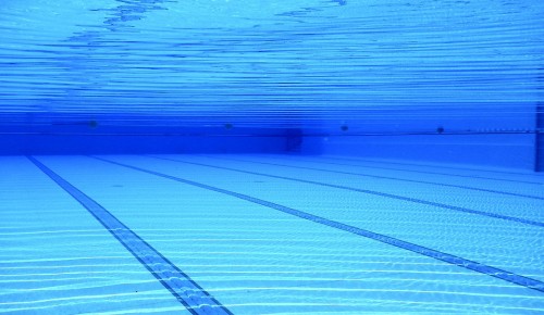 Учащиеся школы № 2103 стали призерами на соревнованиях по плаванию