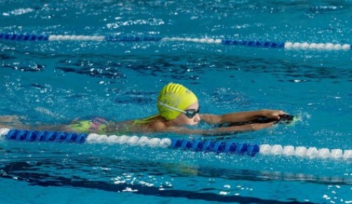Спортсмены из Ясенева завоевали 6 золотых медалей в Чемпионате России по плаванию