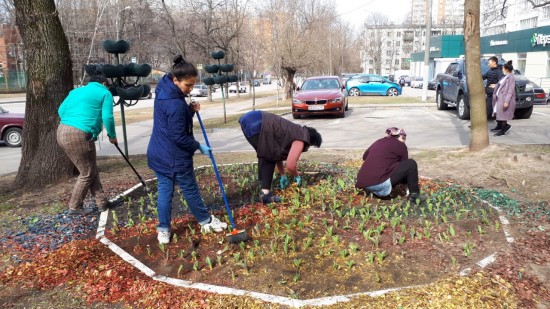 В районе Зюзино покрасили заборы и посадили первые цветы