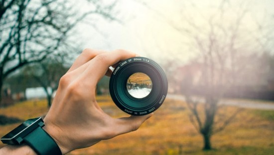 Яркие кадры дикой природы представят на фотовыставке в культурном центре "Вдохновение"