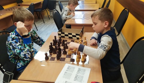 В шахматном клубе "дебют" провели теоретические занятия 