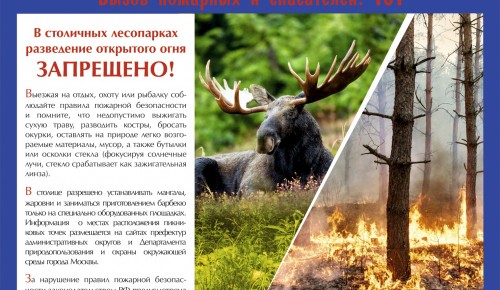 Москвичам напомнили о правилах безопасности на природе