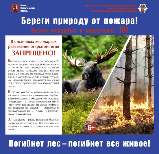 Москвичам напомнили о правилах безопасности на природе