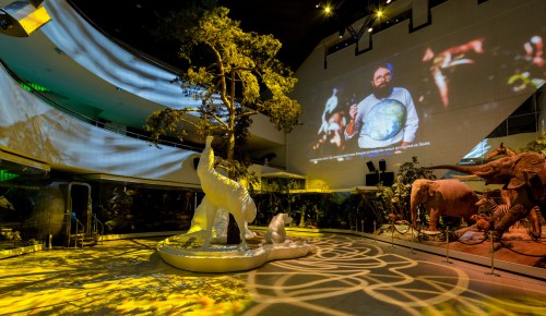 Видеоэкскурсию "Многообразие жизни на Земле" проведут в Дарвиновском музее