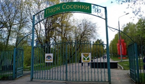 В парке “Сосенки”  пройдет интеллектуальный турнир 12 июня