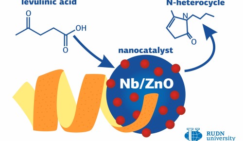 Химик РУДН создал нанокатализатор для органических соединений на основе апельсиновой кожуры