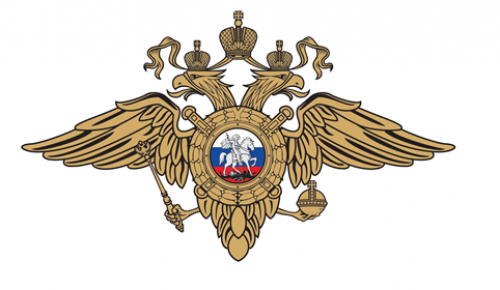 Автоинспекторы юго-запада столицы задержали подозреваемую в использовании поддельного удостоверения