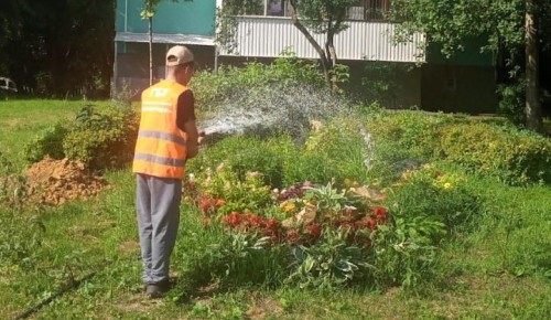 Коммунальщики ухаживают за растениями, высаженными на газонах и цветниках, в Черемушках